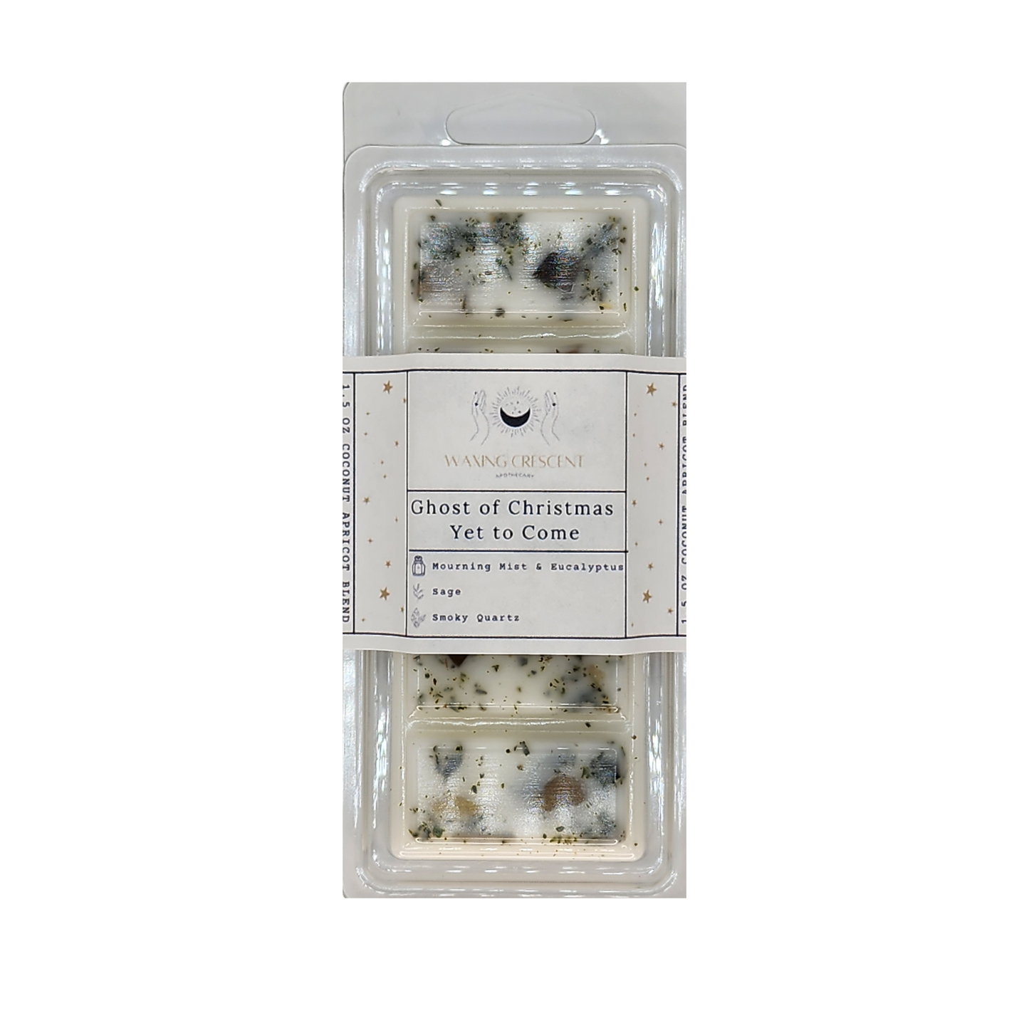 Ghost of Christmas Yet to Come Wax Melt