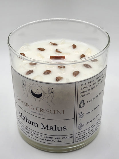 Malum Malus Candle