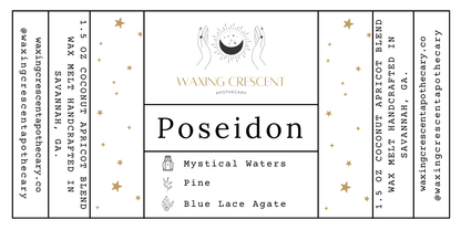 Poseidon Wax Melt