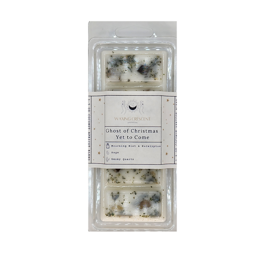 Ghost of Christmas Yet to Come Wax Melt