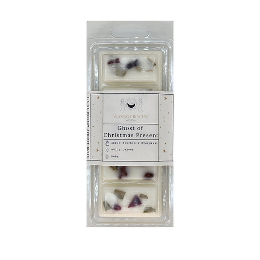 Ghost of Christmas Present Wax Melt